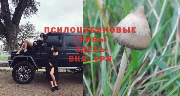 mdpv Арсеньев